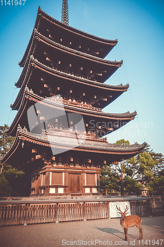 Image of Deer in front of kofuku-ji temple pagoda, Nara, Japan