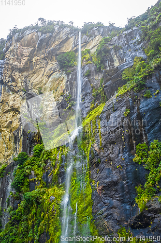 Image of Waterfall in Milford Sound lake, New Zealand