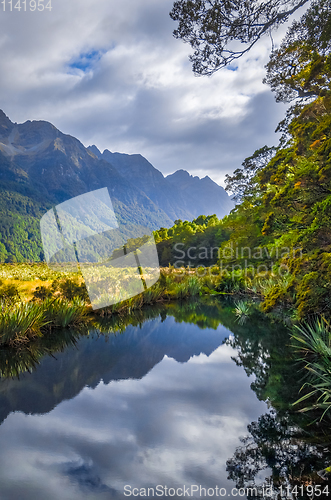 Image of Lake in Fiordland national park, New Zealand