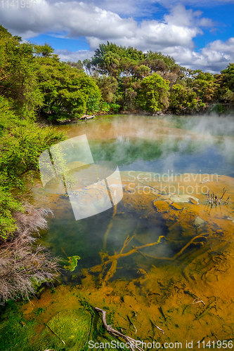 Image of Hot springs lake in Rotorua, New Zealand