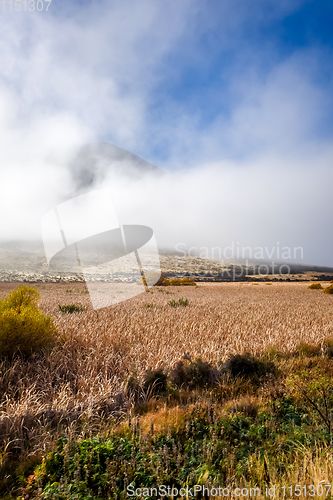Image of Mountain fields landscape in New Zealand