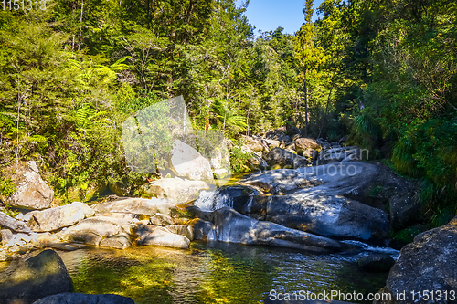 Image of Cleopatra pools in Abel Tasman National Park, New Zealand