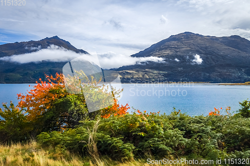 Image of Lake Wakatipu, New Zealand