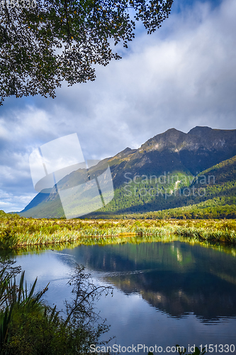 Image of Lake in Fiordland national park, New Zealand