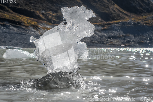 Image of Ice on Hooker lake in Aoraki Mount Cook, New Zealand