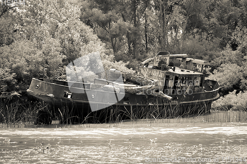 Image of Old boat on the Tigre river Delta. Buenos Aires