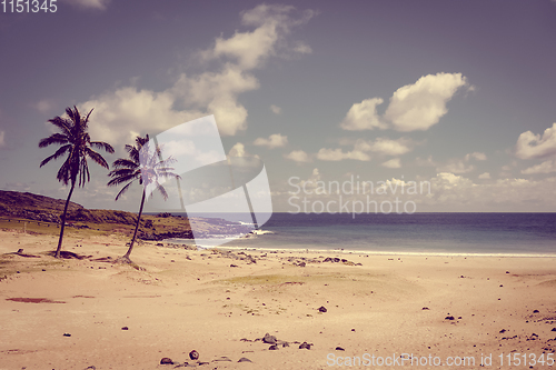 Image of Palm trees on Anakena beach, easter island