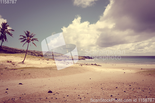 Image of Palm trees on Anakena beach, easter island