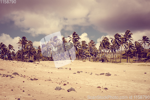 Image of Palm trees on Anakena beach, easter island