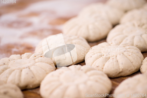 Image of balls of dough bread getting ready to be baked