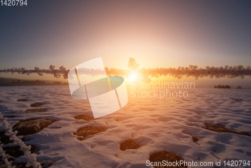 Image of winter landscape during sunset