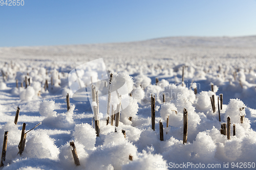 Image of Snow drifts in winter