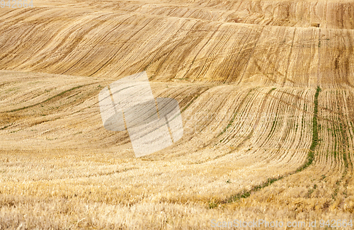 Image of harvest on sunny day