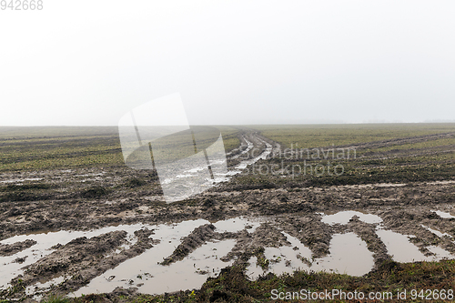 Image of Car tracks in the field