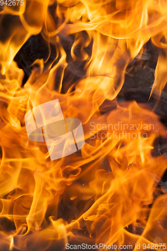 Image of Flame, close up
