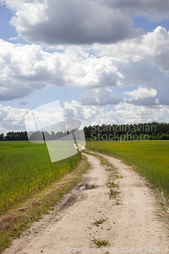 Image of Country dirt road in the field