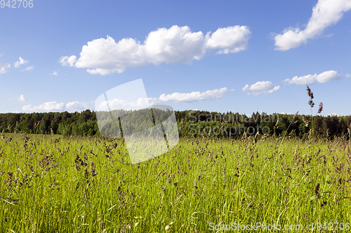 Image of field , blue sky