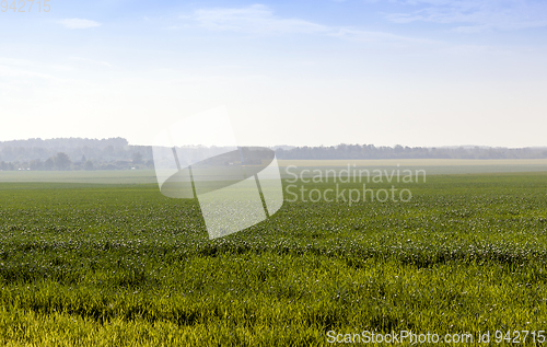 Image of Landscape with grass