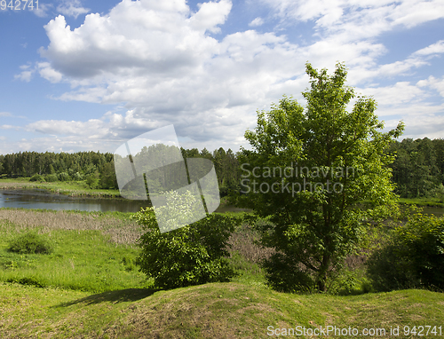 Image of forest and river