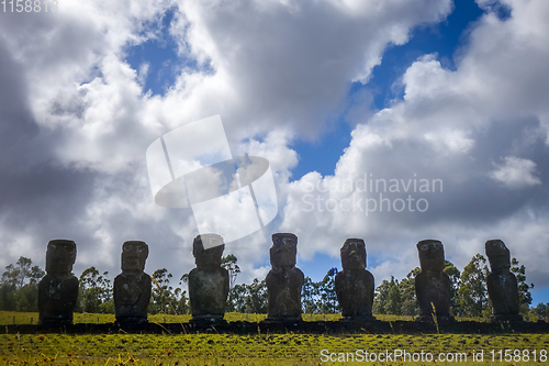 Image of Moais statues, ahu Akivi, easter island