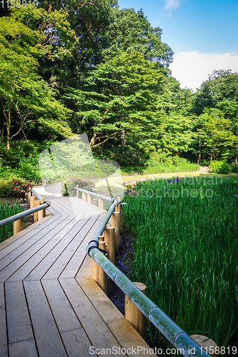 Image of Meiji jingu inner garden, yoyogi park, Tokyo, Japan