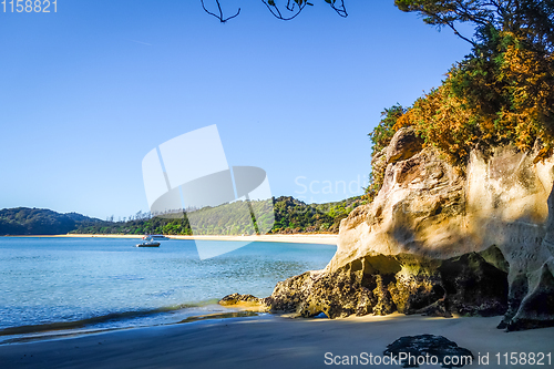 Image of Creek at sunset in Abel Tasman National Park, New Zealand