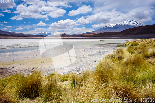 Image of Laguna Honda in sud Lipez Altiplano reserva, Bolivia