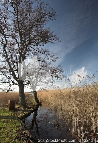 Image of lake forest