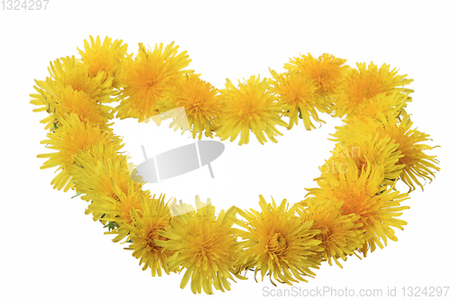 Image of yellow flowers