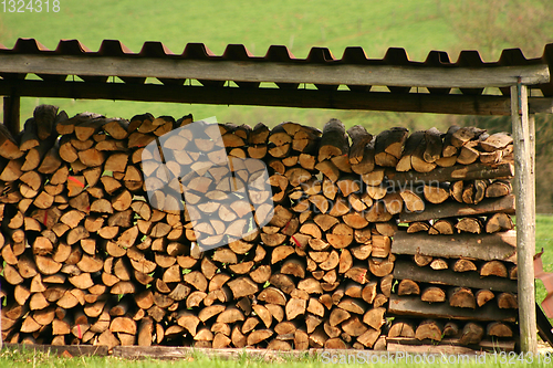 Image of tree trunk