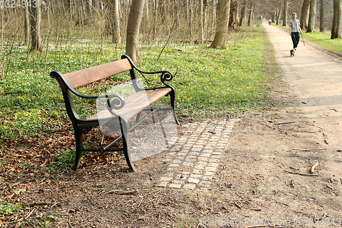 Image of bench