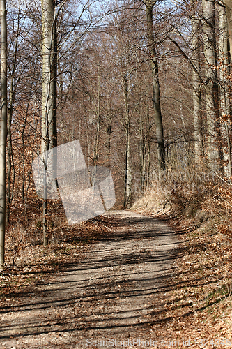 Image of danish landscape