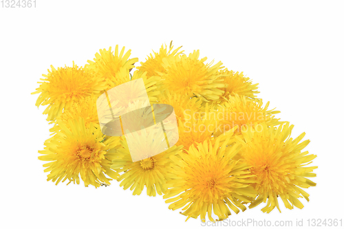 Image of yellow flowers