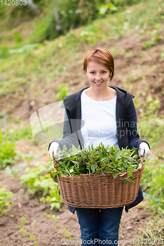 Image of woman gardening