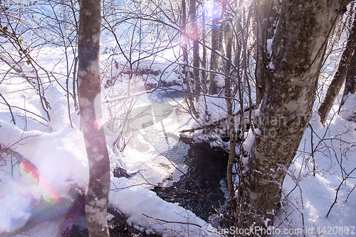 Image of small river in the winter forest