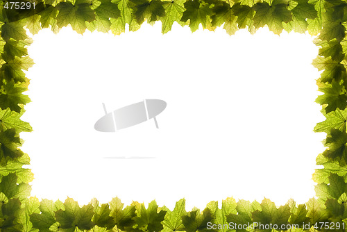 Image of frame