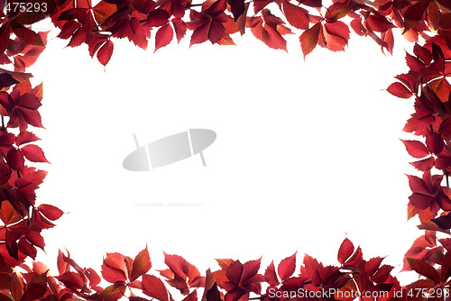 Image of frame