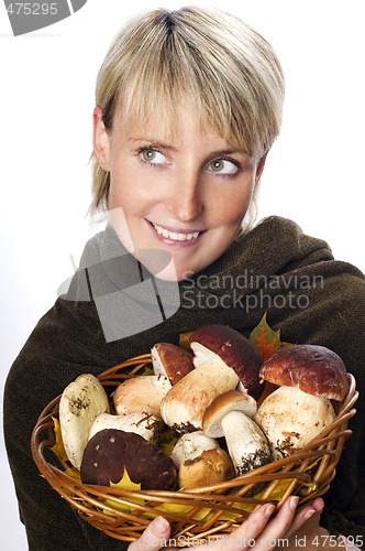 Image of mushroom