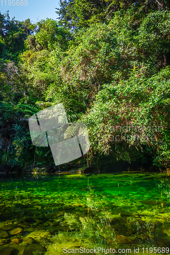 Image of River in Abel Tasman National Park, New Zealand