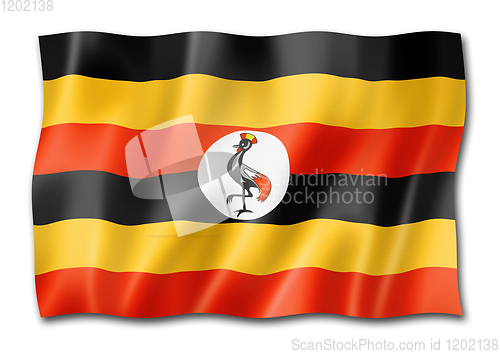 Image of Uganda flag isolated on white
