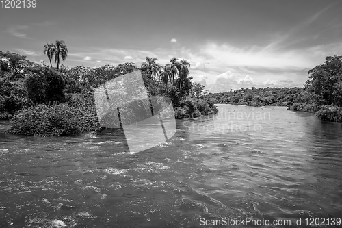 Image of Parana river at iguazu falls