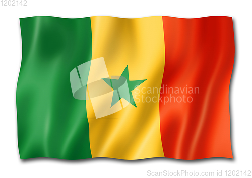Image of Senegalese flag isolated on white