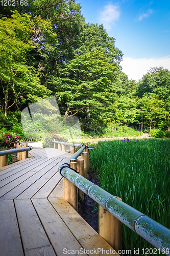 Image of Meiji jingu inner garden, yoyogi park, Tokyo, Japan