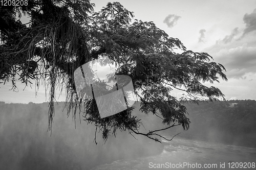 Image of Parana river at iguazu falls