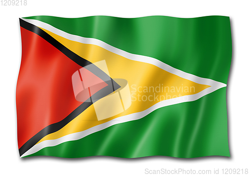 Image of Guyanese flag isolated on white