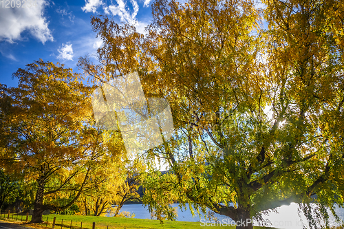 Image of Lake Wakatipu, New Zealand