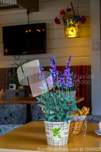 Image of Decoration with flowers in cafe.