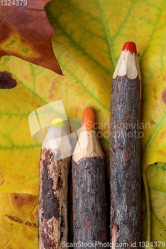 Image of pencils
