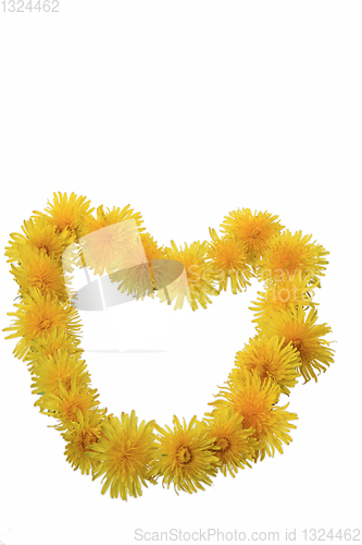 Image of yellow flowers