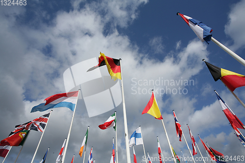 Image of flags